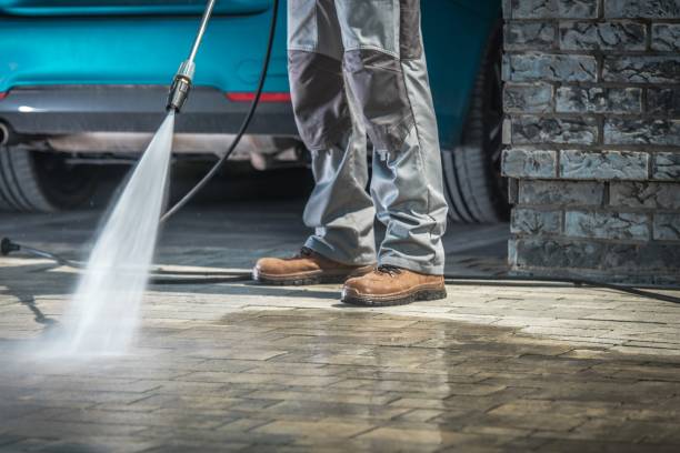 Best House Exterior Washing  in Capron, IL