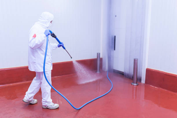 Best Sidewalk and Walkway Cleaning  in Capron, IL