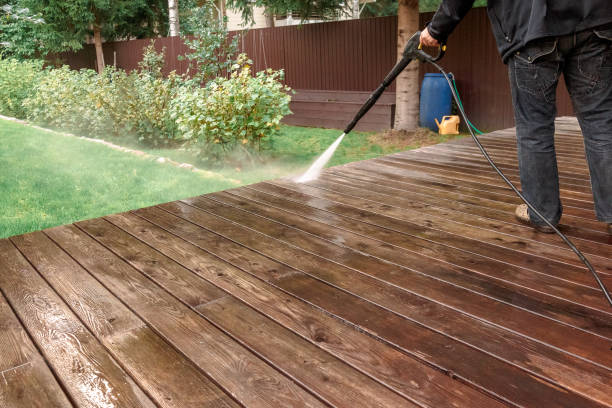 Best Fence Cleaning  in Capron, IL