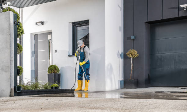 Animal Enclosure Cleaning in Capron, IL